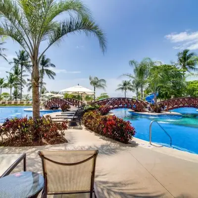 The Palms 101