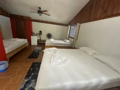 a bedroom with two beds and a ceiling fan at Hotel Don Quichotte in Tortuguero