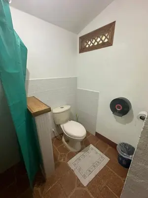 a bathroom with a white toilet and a window at Hotel Don Quichotte in Tortuguero