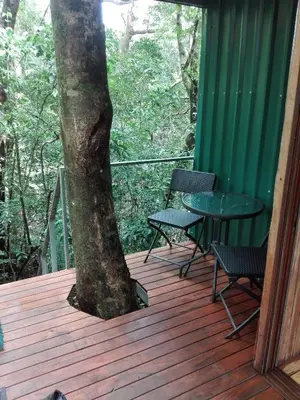 a tree on a deck with two chairs and a table at The Green Tree Lodge in Monteverde Costa Rica