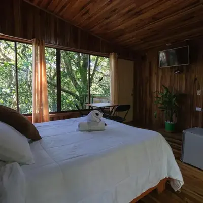 The Green Tree Lodge