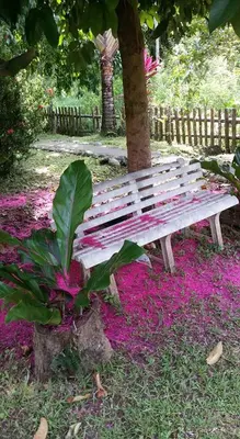 a park bench with purple flowers next to a tree at Lodge El Barco in Esterillos