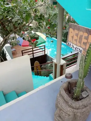 a cactus sitting on a table in front of a pool at Chicama : Burnt Toast Surfcamp in Nosara