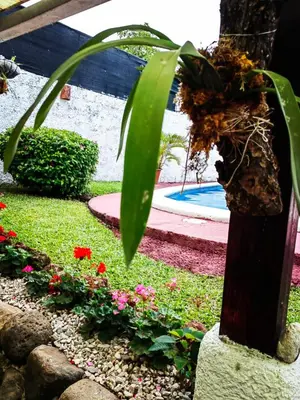 a garden with flowers and a pool in the background at Hotel Casa Tago in Alajuela City