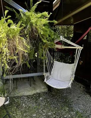 a white chair hanging from a porch with plants at Casa Morpho Uvita Guesthouse in Uvita
