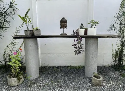 a table with potted plants on top of it at Casa Morpho Uvita Guesthouse in Uvita