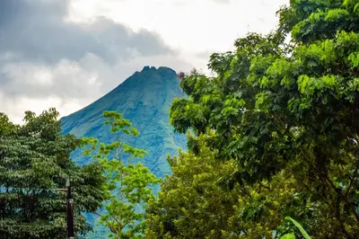 a mountain in the distance with trees in the foreground at Yellow Tree Suites in Fortuna