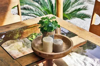 a wooden bowl with two candles and a potted plant at Villa Picasso in Santa Teresa Beach