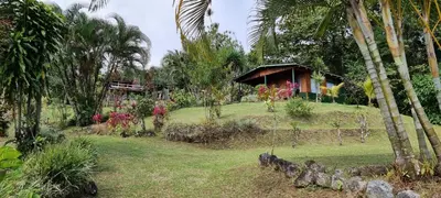 a house on a hill with a yard with trees at Hotel La Rana de Arenal in Nuevo Arenal