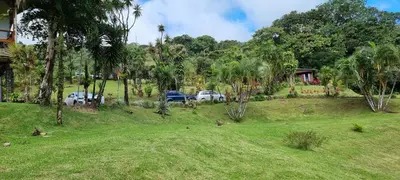 two cars parked on a grassy hill with palm trees at Hotel La Rana de Arenal in Nuevo Arenal
