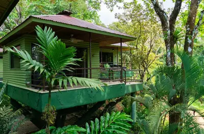 a green house in the middle of a forest at Arbol Verde Villas in Ojochal