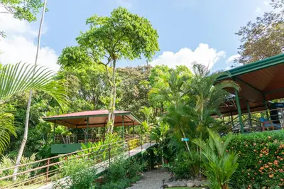 a garden with a pavilion and trees in the background at Arbol Verde Villas in Ojochal