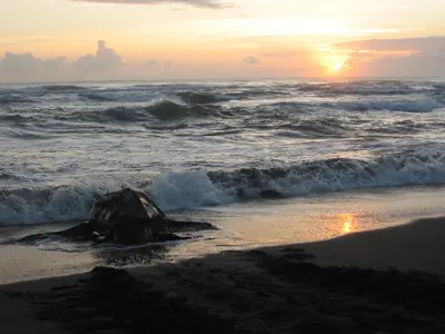 a rock sitting on the beach with the ocean at Casa Grande at Pacuare Reserve in Matina