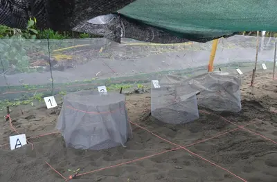 a tent with signs on the ground in the dirt at Casa Grande at Pacuare Reserve in Matina