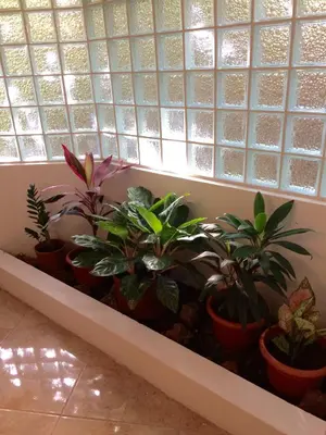 Gallery image of Villas la Paz in Playa Conchal