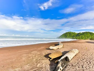 a beach with some logs and rocks on the sand at Luxury Condo at Jaco Bay, Costa Rica's best beach in Jacó