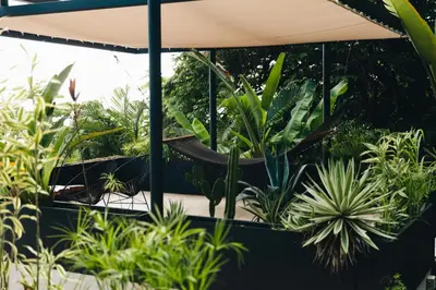 a room filled with lots of plants at Mint Santa Teresa - Adults only in Santa Teresa Beach