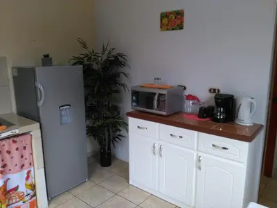 a kitchen with a refrigerator and a microwave at Arenal Thiago with Private Jacuzzi in Fortuna