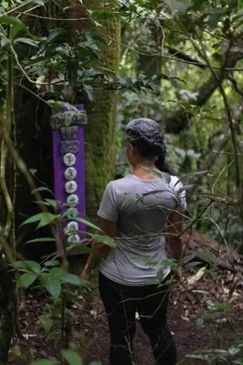 a woman walking in the woods with a sign at Apartamento ArteSAna - Jardín de la Diosa in Monteverde Costa Rica