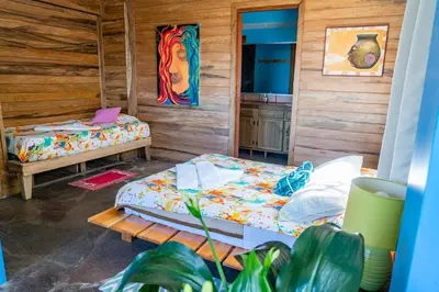 two beds in a room with wooden walls at Apartamento ArteSAna - Jardín de la Diosa in Monteverde Costa Rica