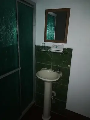 a bathroom with a sink and a shower and a mirror at Hotel Don Robert in Puntarenas