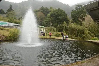 a fountain in a pond with people walking around it at Los Lagos Lodge in San Gerardo de Dota