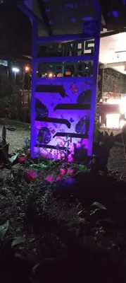 a room with purple lighting in a yard at night at Cabins yafeth osa drake bay in Drake