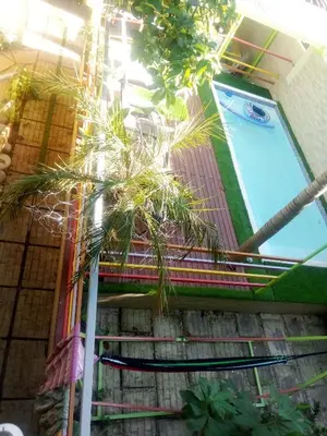 a palm tree in front of a swimming pool at chez philippe in Orotina