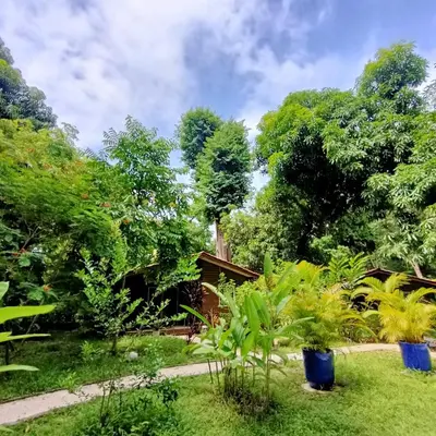 a garden with trees and plants in front of a house at Boho lodge Montezuma l&l in Montezuma