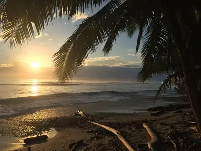 a sunset on the beach with a palm tree at Boho lodge Montezuma l&l in Montezuma