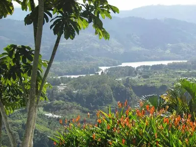 a view of a valley from a hillside with trees at La Flor de Loto in Cartago