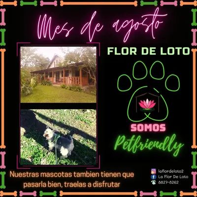 a collage of pictures of a dog and a house at La Flor de Loto in Cartago