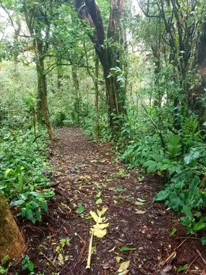 Gallery image of Casa El Granero Monteverde in Monteverde Costa Rica