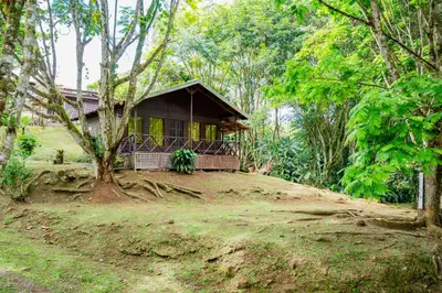 a small house on a hill in the forest at Hospedaje La Naciente in Turrialba