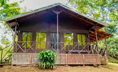 a house in the woods with a large porch at Hospedaje La Naciente in Turrialba