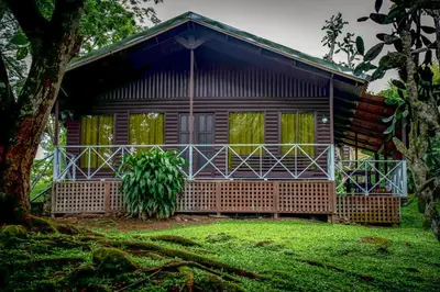 a wooden house with green windows and a tree at Hospedaje La Naciente in Turrialba