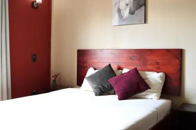 a bedroom with a bed with a wooden headboard and pillows at Hotel La Amistad in San José