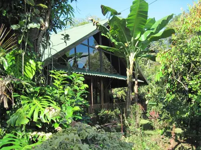 a house in the middle of a forest at Chalet Villa Vilma in San Mateo