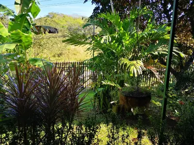 a garden with many plants and a fence at Chalet Villa Vilma in San Mateo