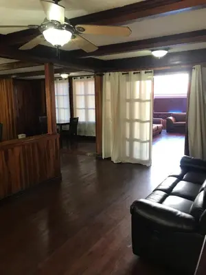 a living room with a couch and a ceiling fan at Hotel Castillo in San José