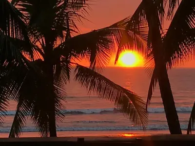 a sunset over the ocean with two palm trees at Gallina E Palo Beachfront Hotel in Jacó