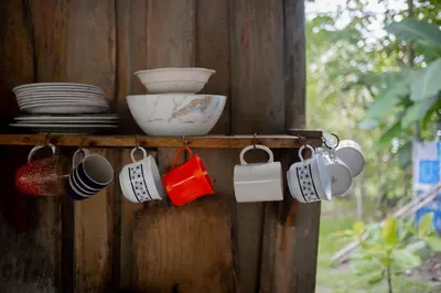 a group of mugs hanging on a wooden wall at Miguel Surf Camp in Quepos