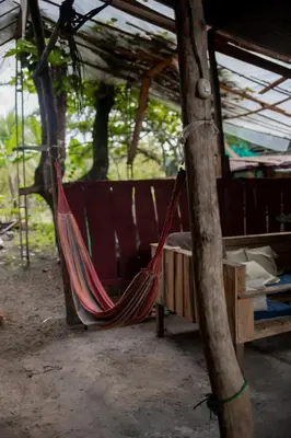 a hammock tied to a tree in a house at Miguel Surf Camp in Quepos