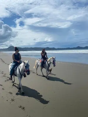 two people riding horses on the beach with a dog at Miguel Surf Camp in Quepos
