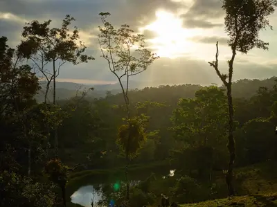 a view of a river in the middle of a forest at Origins Lodge in Bijagua