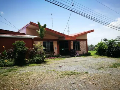 a house with a palm tree in front of it at Hospedaje Las Orquídeas in Venecia