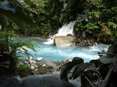 a waterfall in the middle of a river in a forest at Blue River Resort & Hot Springs in Liberia