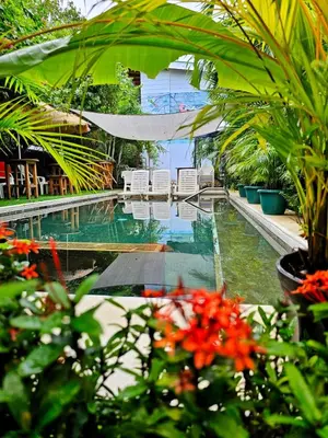 a swimming pool with chairs and plants in a house at BellaVista Suites By Villas Verdes - Samara Beach in Sámara
