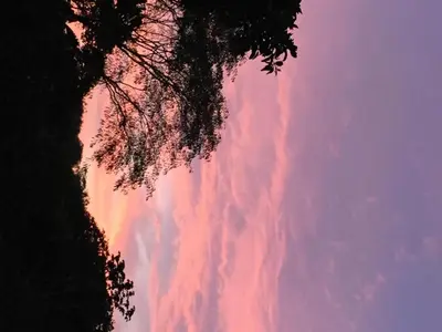 a view of a cloudy sky with a tree at Villas Wanderlust in Puntarenas