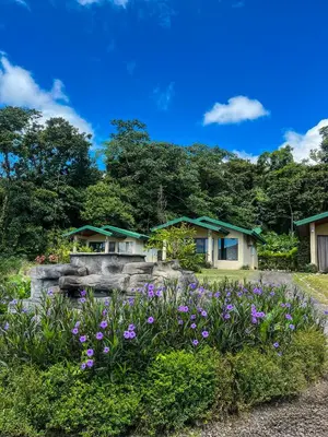 a group of houses with purple flowers in front of them at Arenal Roca Suites in Fortuna